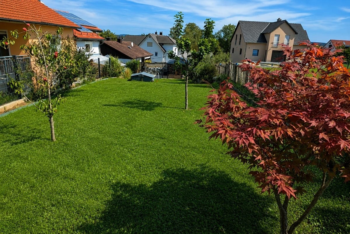 Platz zum Wohnen und Arbeiten in ruhiger Lage gesucht? - Galerie 5