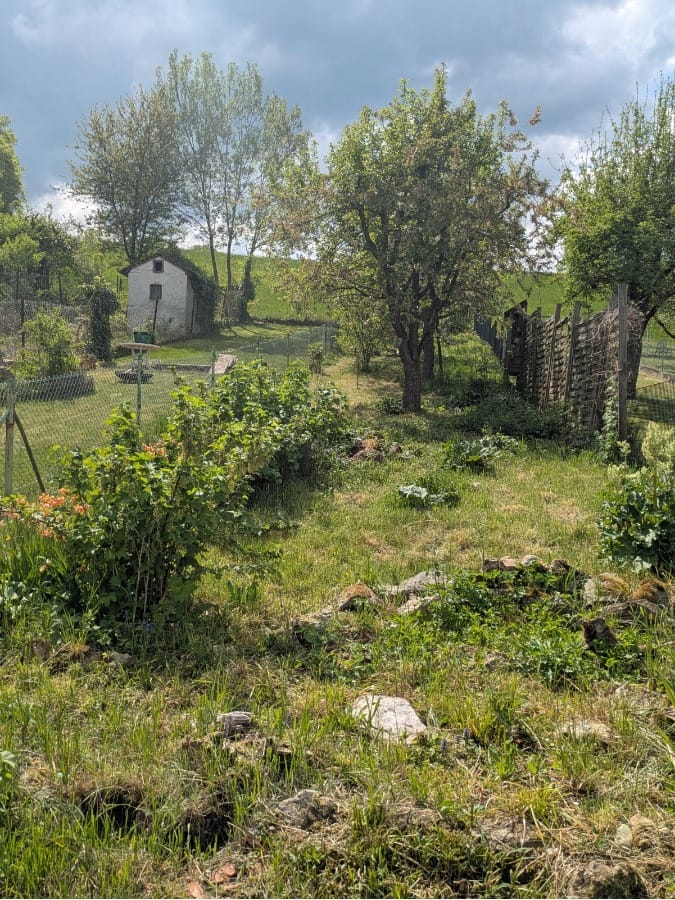 Reihenhaus mit viel Charakter und ein Traum für Gartenfreunde - Galerie 7