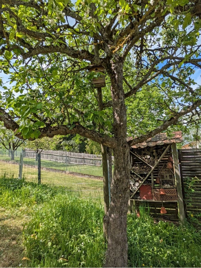 Reihenhaus mit viel Charakter und ein Traum für Gartenfreunde - Galerie 6
